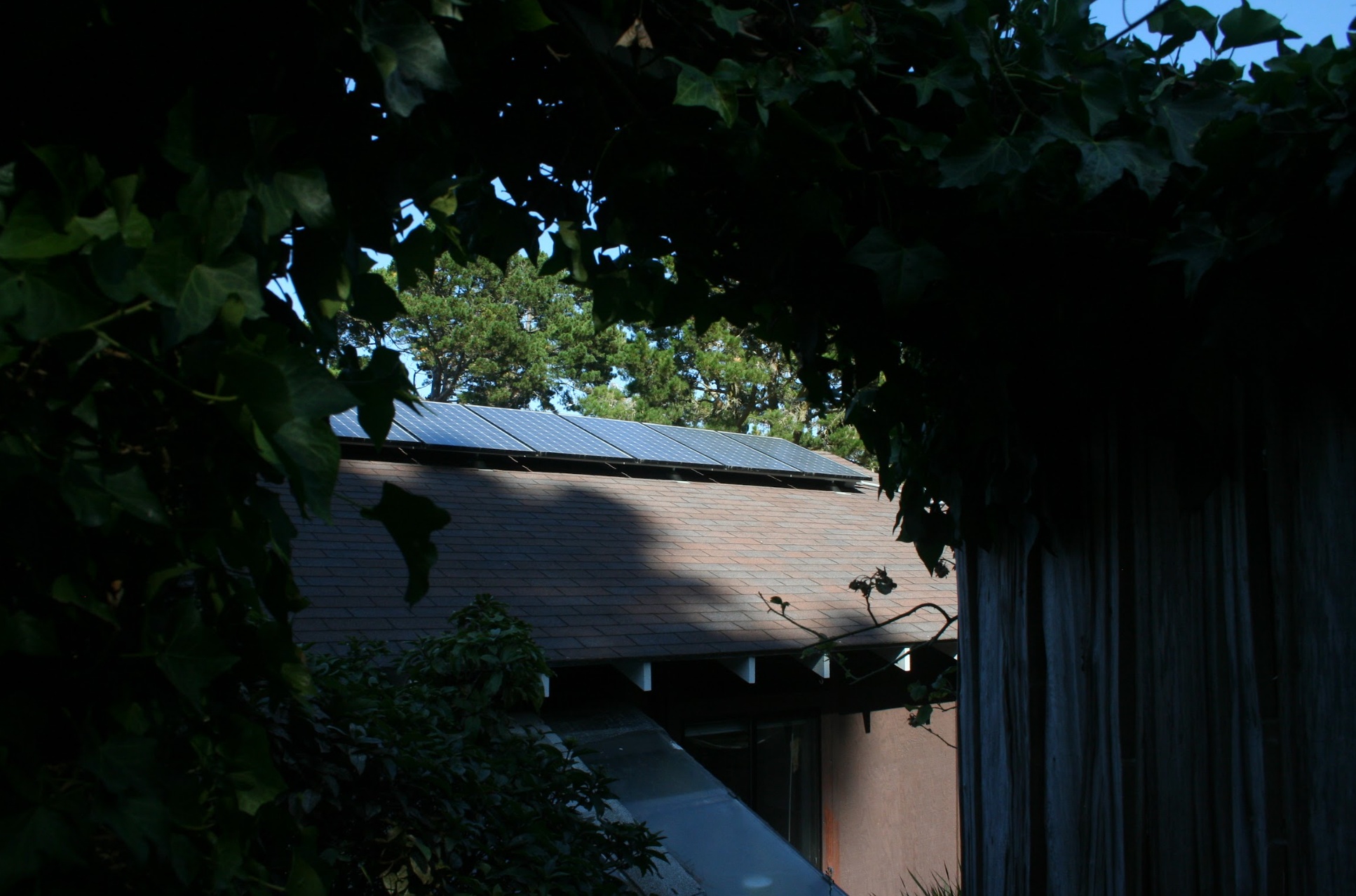 gallery image 22