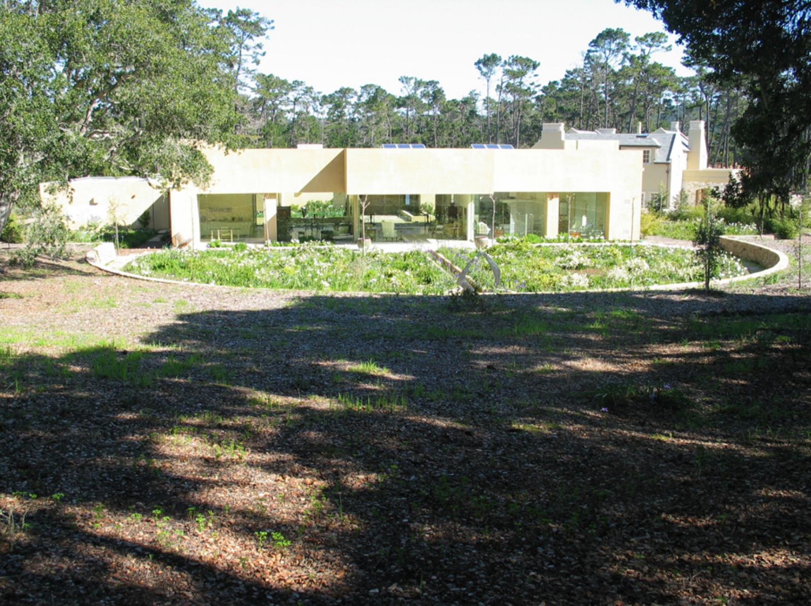 gallery image 11